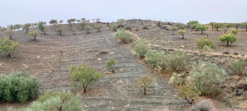 Land for sale Land for sale