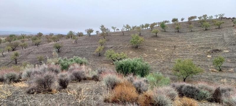 Land for sale Land for sale