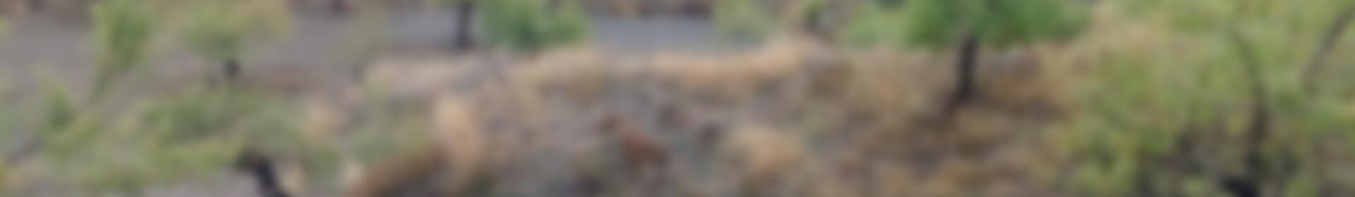 Grundstück zu verkaufen