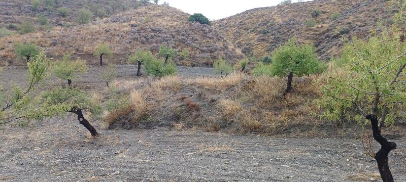 Terrain à vendre dans Los Pardos (Velez Rubio), Almería Terrain à vendre dans Los Pardos (Velez Rubio), Almería