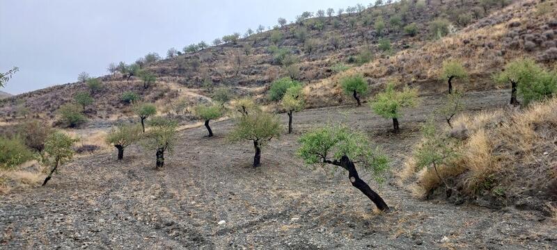 Grundstück zu verkaufen Grundstück zu verkaufen