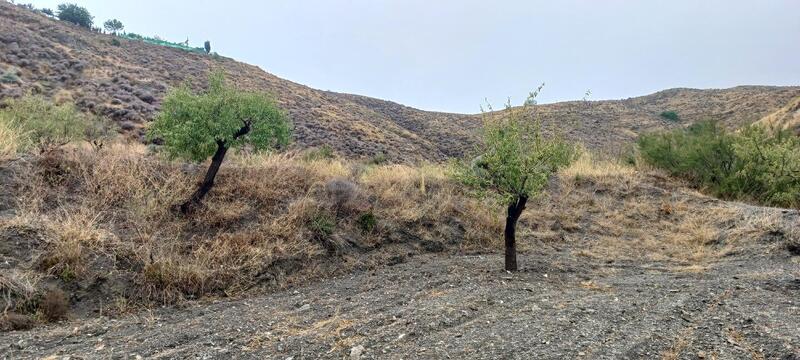 Grundstück zu verkaufen Grundstück zu verkaufen