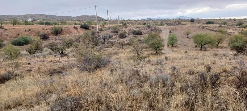 Land for sale in Urcal, Almería Land for sale in Urcal, Almería