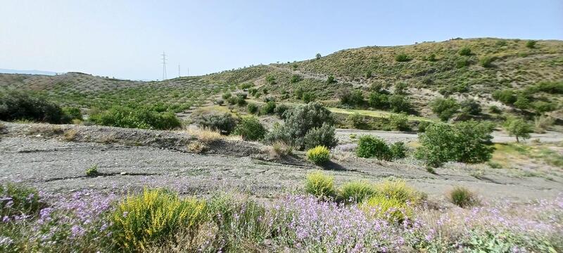 3 bedroom Country House for sale