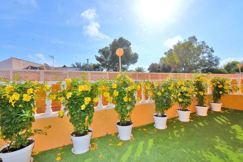 1 chambre Appartement à vendre