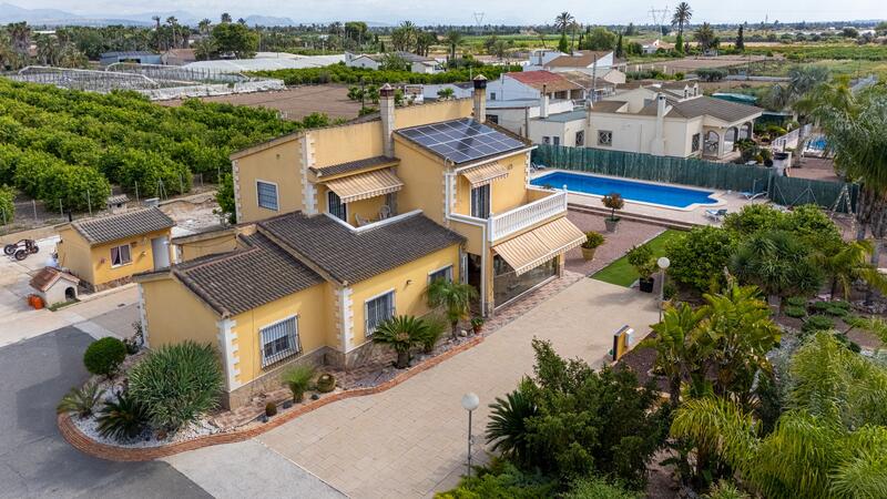 Villa à vendre dans Elx/Elche, Alicante