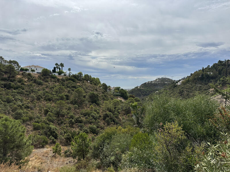 Grundstück zu verkaufen in Benahavis, Málaga