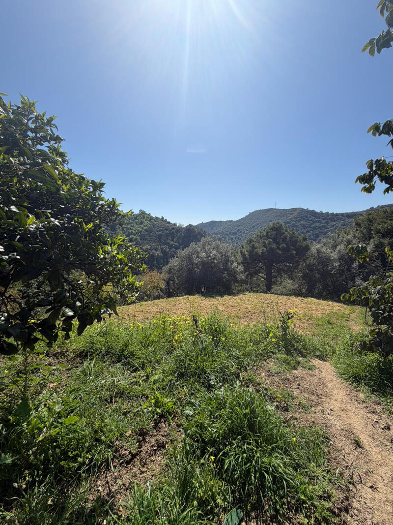 3 soveværelse Landsted til salg 3 soveværelse Landsted til salg