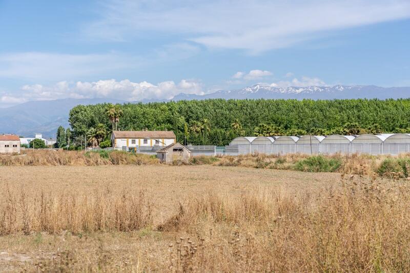 Terrenos en venta