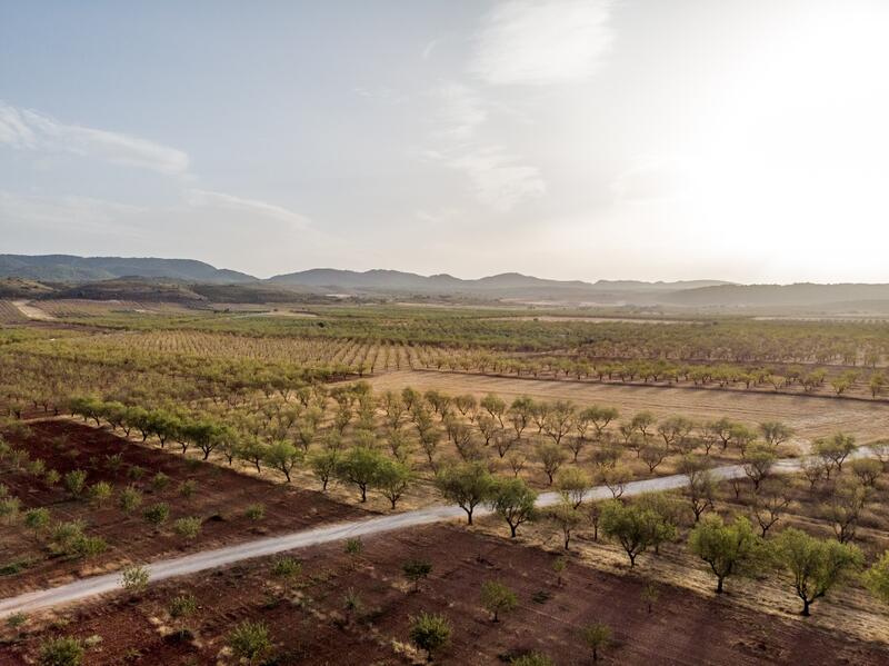 Land for sale in Padul, Granada