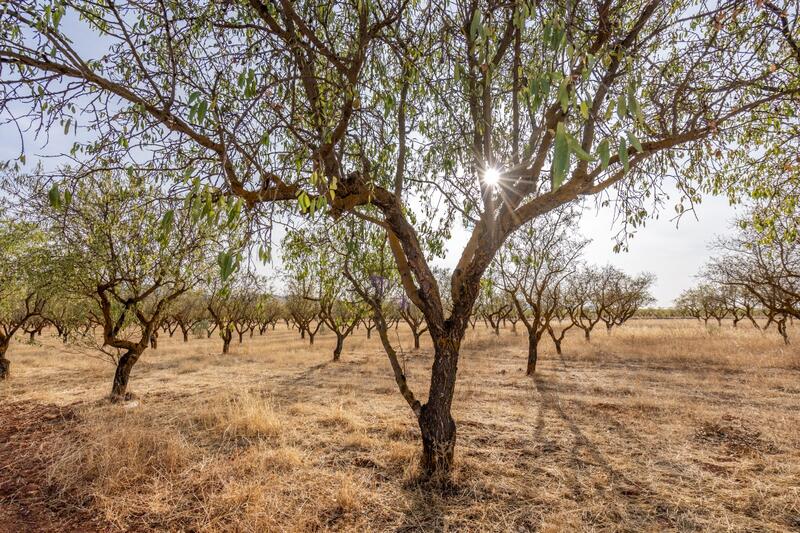 Terrenos en venta