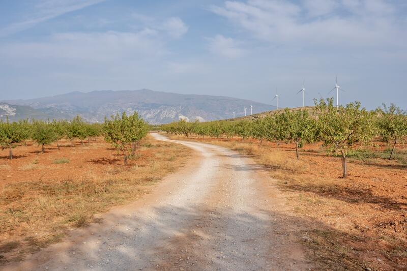 Terrenos en venta