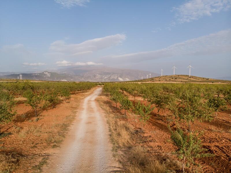 Terrenos en venta