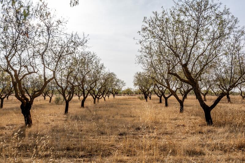 Terrenos en venta