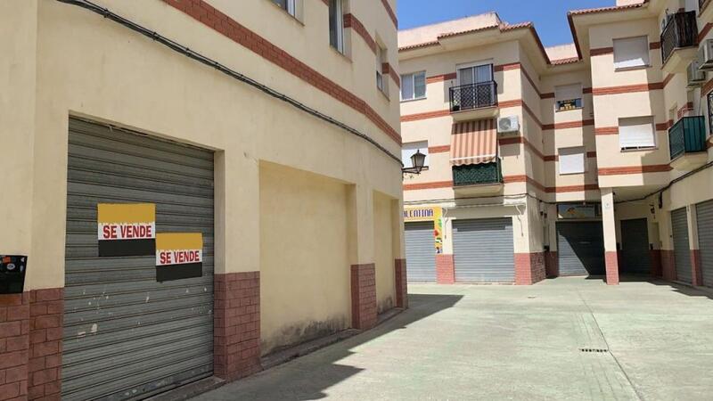 Commercial Property for sale in Cullar Vega, Granada