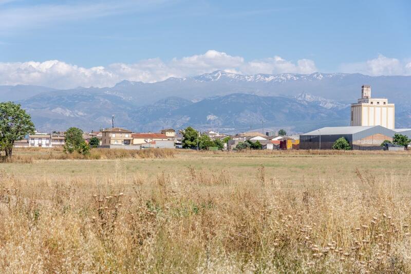 Land for sale in Santa Cruz del Comercio, Granada