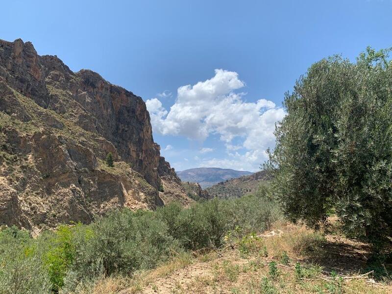 Auberge à vendre dans Lanjaron, Granada