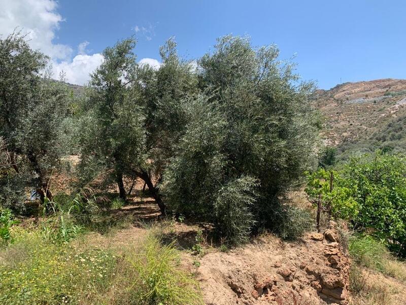 Auberge à vendre