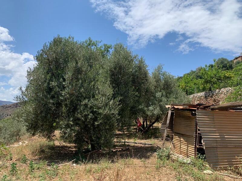 Auberge à vendre