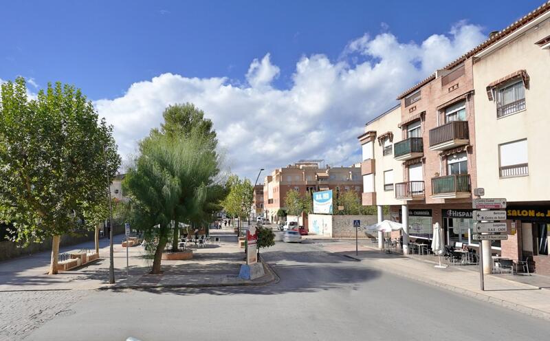 Commercial Property for sale in Santa Cruz del Comercio, Granada