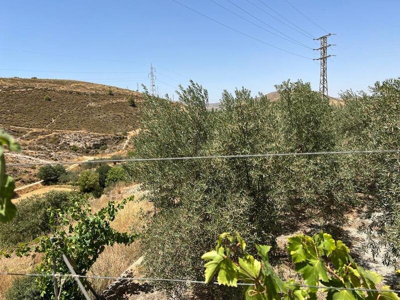 Casa de Campo en venta