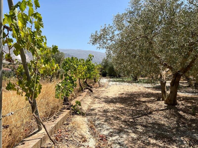 Casa de Campo en venta