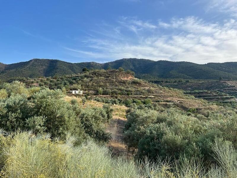 Auberge à vendre