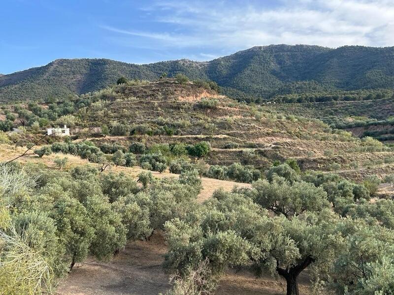 Auberge à vendre