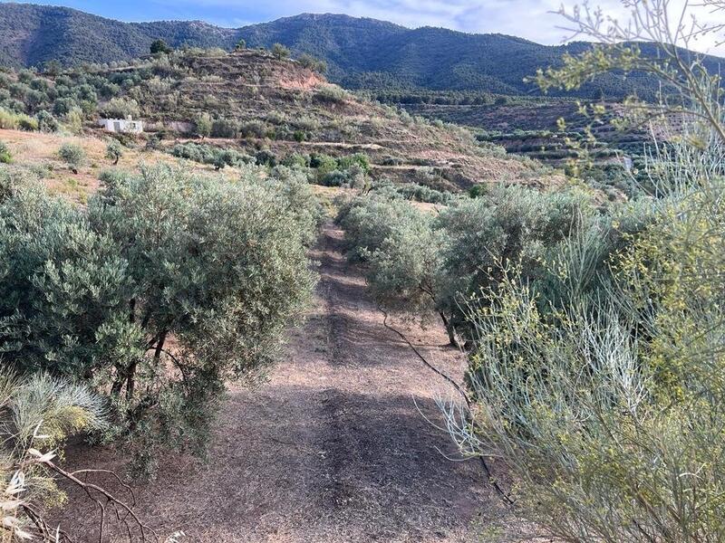 Auberge à vendre