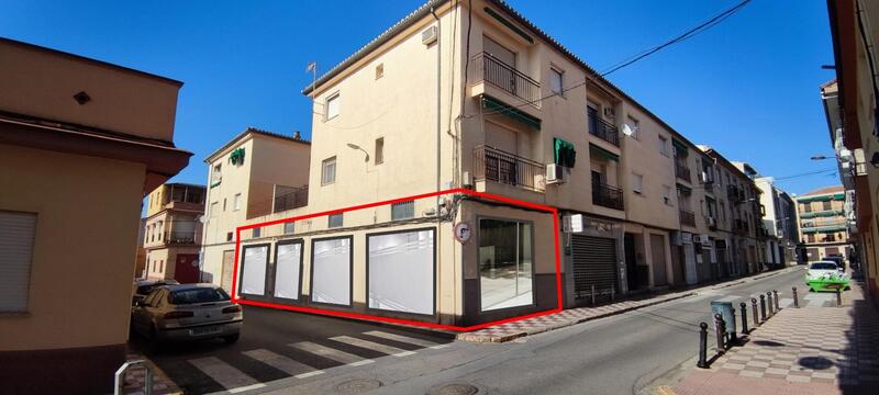 Коммерческая недвижимость продается в Albolote, Granada