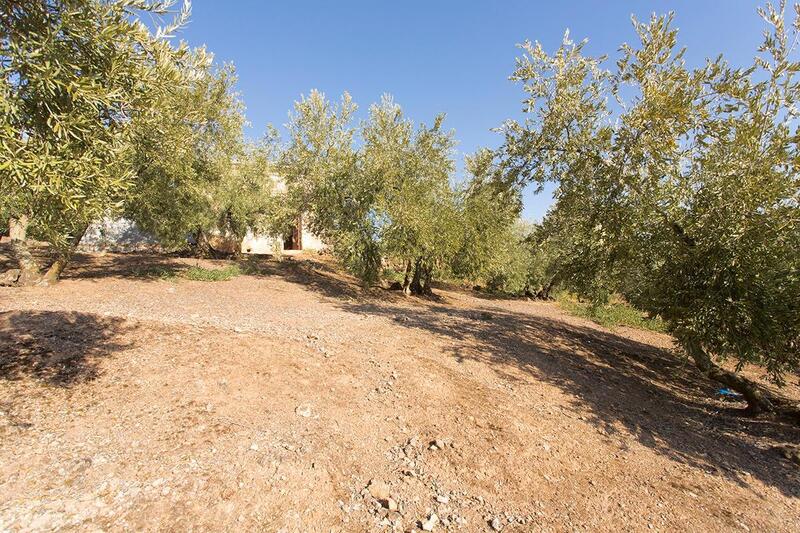 4 bedroom Country House for sale