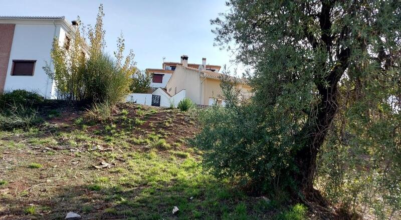 3 chambre Terrain à vendre