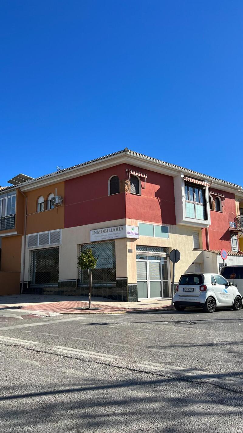 Commercial Property for sale in Peligros, Granada