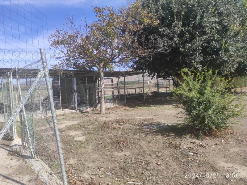 6 bedroom Country House for sale
