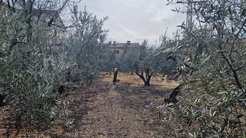 3 Cuarto Villa en venta