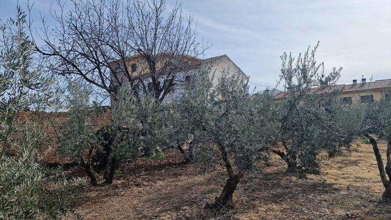 3 Cuarto Villa en venta