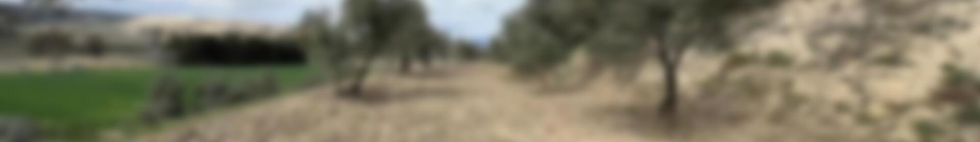 Terrenos en venta