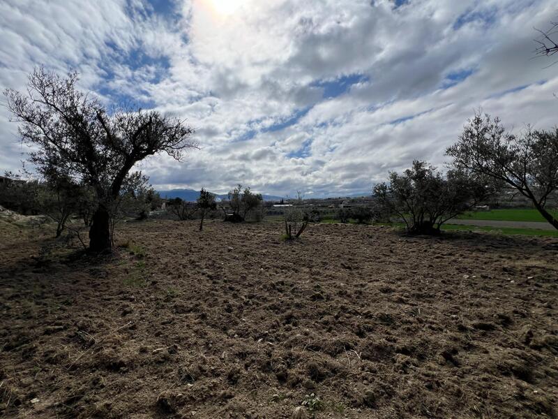 Terrenos en venta