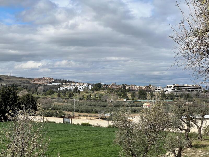 Terrenos en venta
