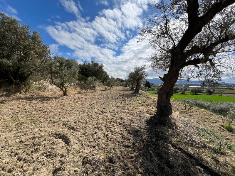 Terrenos en venta