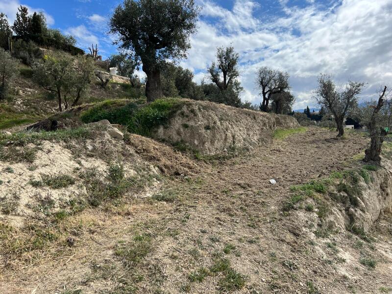 Terrenos en venta