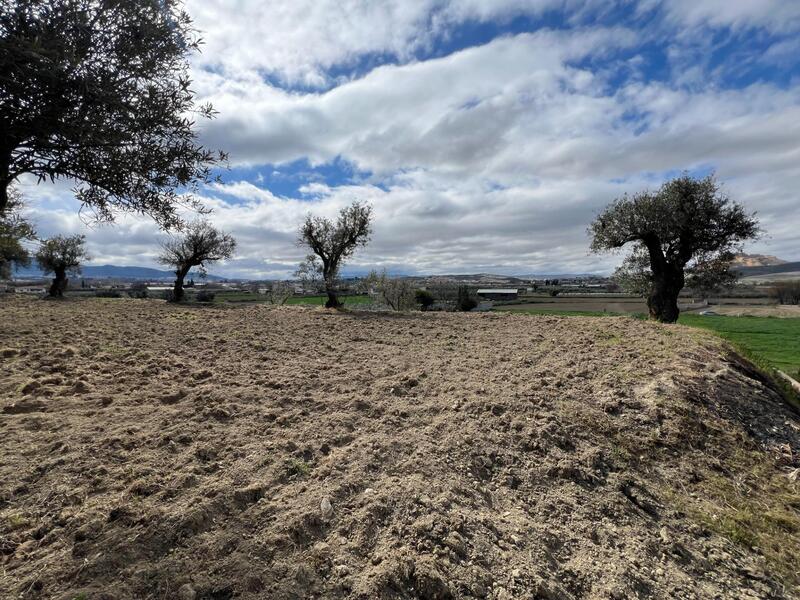 Terrenos en venta
