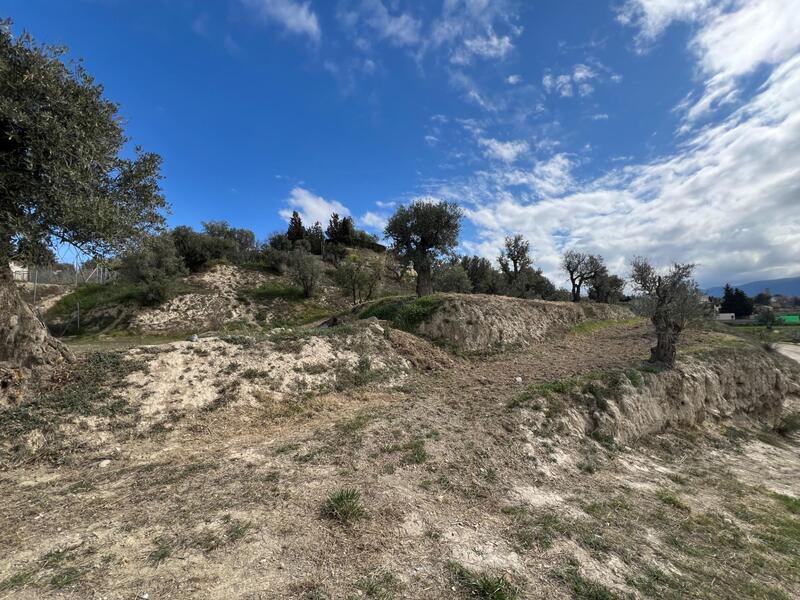 Terrenos en venta
