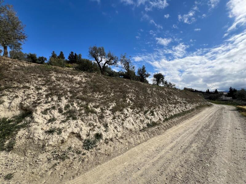 Terrenos en venta