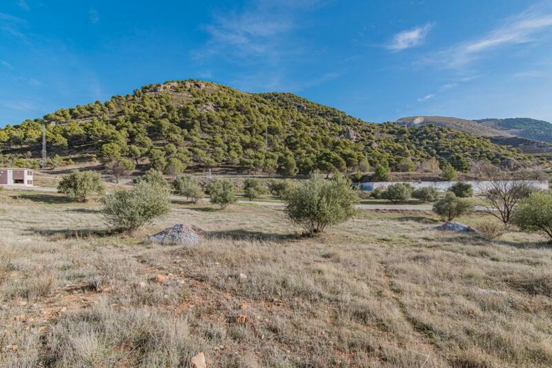 Land for sale