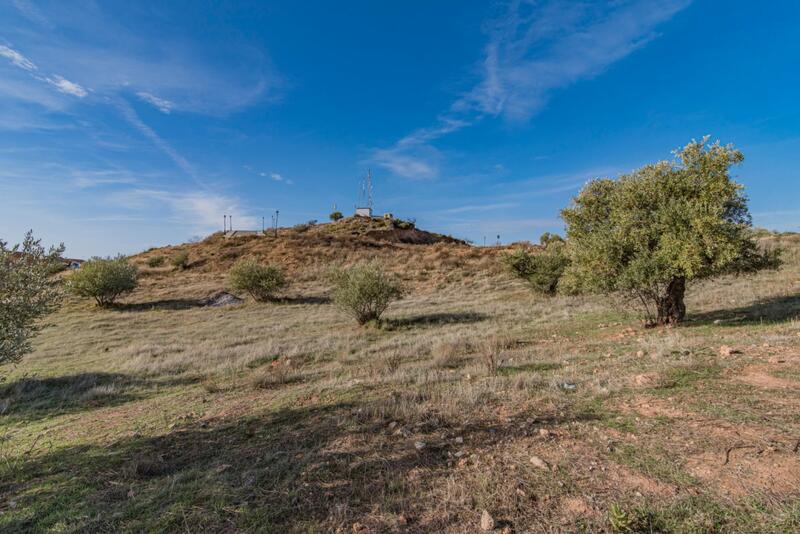 Land for sale