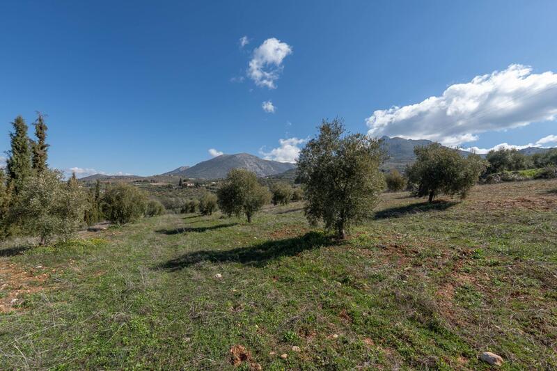 Auberge à vendre dans Cogollos Vega, Granada