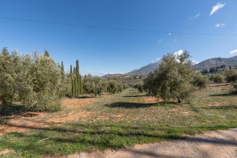 Auberge à vendre