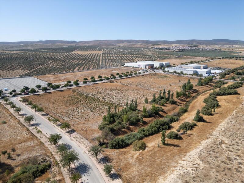 Land for sale