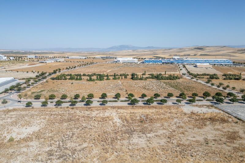 Land for sale